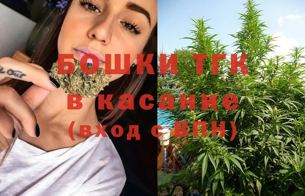 индика Лиски