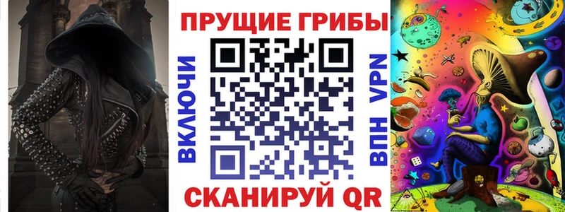 где купить   Южно-Сухокумск  Псилоцибиновые грибы мицелий 