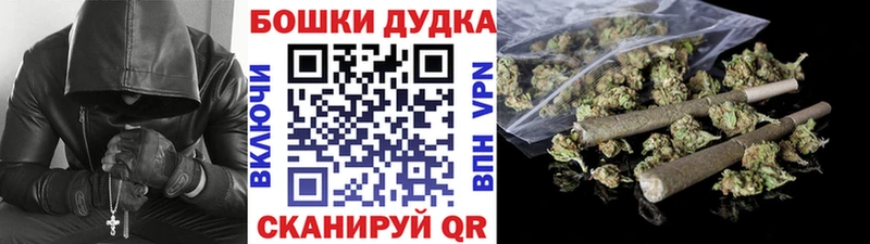 Бошки Шишки семена  купить наркотики сайты  Южно-Сухокумск 